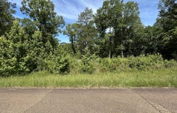 Sleepy Hollow Road, Terry, MS 39170
