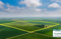 56317 864th Rd, Randolph, NE 68771