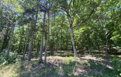215 Watersedge Drive, Edgemont, AR 72044