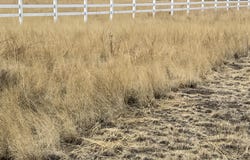 W Highway 60, Springerville, AZ 85938