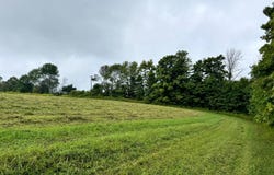 1.3 Brigham Rd, Richford, NY 13835