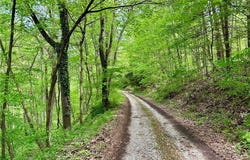 4101 Peace Road SE, Carrollton, OH 44615