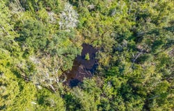 178TH ST, Live Oak, FL 32060