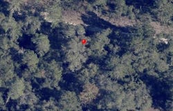 2940 SW 155TH Lane, OCALA, FL 34473