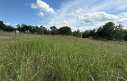 Harrell Road, Howe, TX 75459