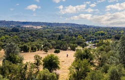 Chili Hill Road, Newcastle, CA 95658