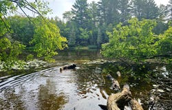 Smith Rd, MI 49868
