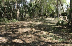 257 7th St, Apalachicola, FL 32320