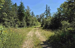 160 Acres Halverson Road, Gulliver, MI 49840