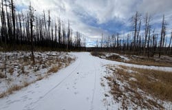 2025 Granite Rd, Bellvue, CO 80512