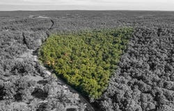 16902 State Highway F, Potosi, MO 63664