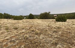 67 Hickory Lane, Concho, AZ 85924
