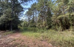 Irene Road, Summit, MS 39666