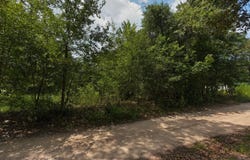 Second Avenue, Waynesville, GA 31566