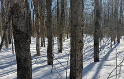 00 Florence Hill Rd, Florence, NY 13316