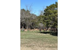 Deerwood, Bandera, TX 78003