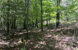 River Mountain Road lot: 96, Murphy, NC 28906
