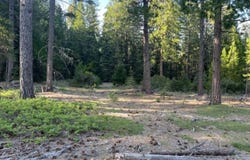 0000 CA-44, Shingletown, CA 96088