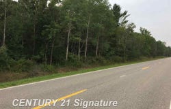 1166 E Freeland Road, Merrill, MI 48637