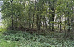 Center Road, Conneaut, OH 44030