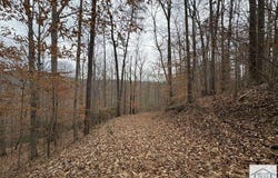 Pine Valley Dr, Bassett, VA 24055