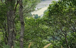 Bent Hills lot: 2, Independence, VA 24348