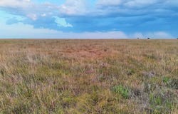County Road C, Liberal, KS 67901