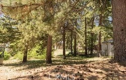 Ca-189, Twin Peaks, CA 92391