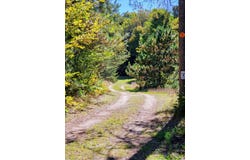 23267 Cadillac Highway, Copemish, MI 49625