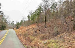 2 High Point Drive, Mayflower, AR 72106