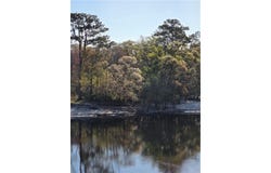 82 Highway, Waynesville, GA 31566