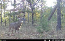 Tract 6 SE 179th, Wilburton, OK 74578