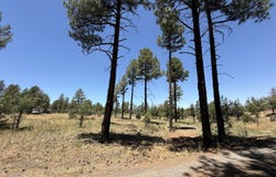 854 E PINE MEADOW Lane, Show Low, AZ 85901