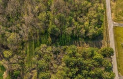Jones Boulevard, Milan, TN 38358