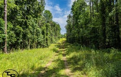 6800 Wolf Pen Rd, Pocahontas, TN 38061