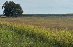 1869 CR 9, Bradley, AR 71826