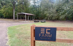 1310 Jones Loop lot: 1310, Terry, MS 39170