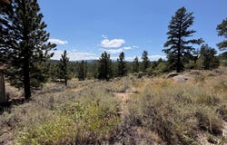 339 Swift Deer Rd, Red Feather Lakes, CO 80545