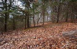 Hickory Drive lot: 4, Pounding Mill, VA 24637