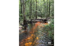 15976 Cochran Road, Citronelle, AL 36522