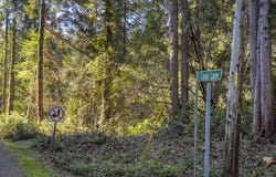 CEDAR Ln, Florence, OR 97439