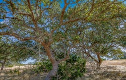 234 Lower Reservation Rd, Harper, TX 78631