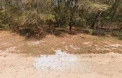 ANNETTE Avenue, INTERLACHEN, FL 32148