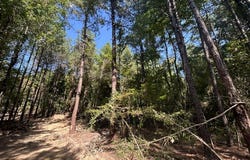 Chisholm Drive, Summit, MS 39666