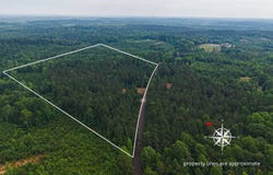 13+/- Acres County Road 51, Greenesboro, AL 36744