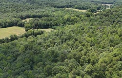 6395 Highway 8 W, Norman, AR 71960