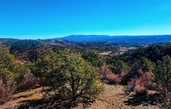 11298 Primero Ranch Rd, Trinidad, CO 81082