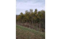 E State Route 2 Highway, Cleveland, MO 64734
