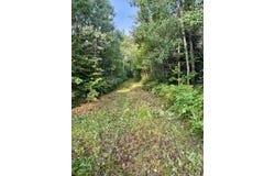 80 acres CLAUSEN RD, Prentice, WI 54556