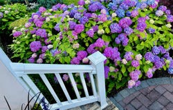 85 Lorelei Drive, Howell, NJ 07731